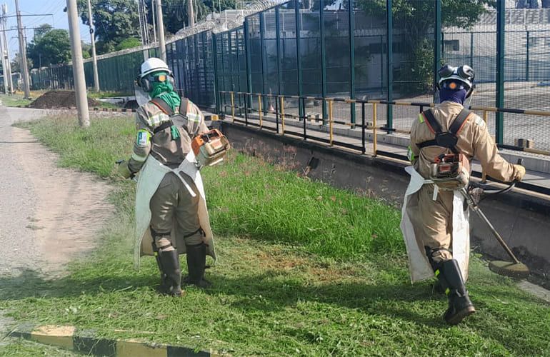 Para un entorno saludable la rocería responsable es la solución