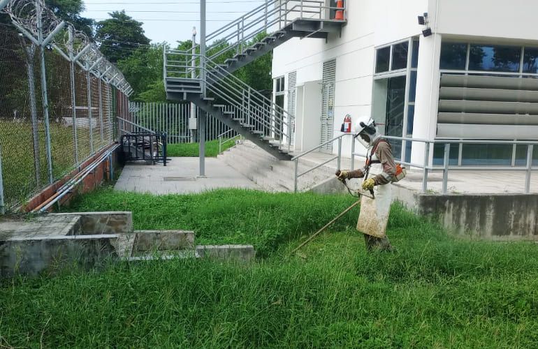 ROCERIA 5 Mantenimiento de zonas verdes en Cartagena