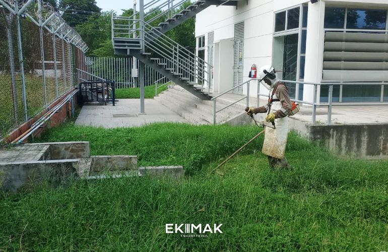 Zona verde intervenida por Ekimak, limpieza, orden y control ambiental del entorno.