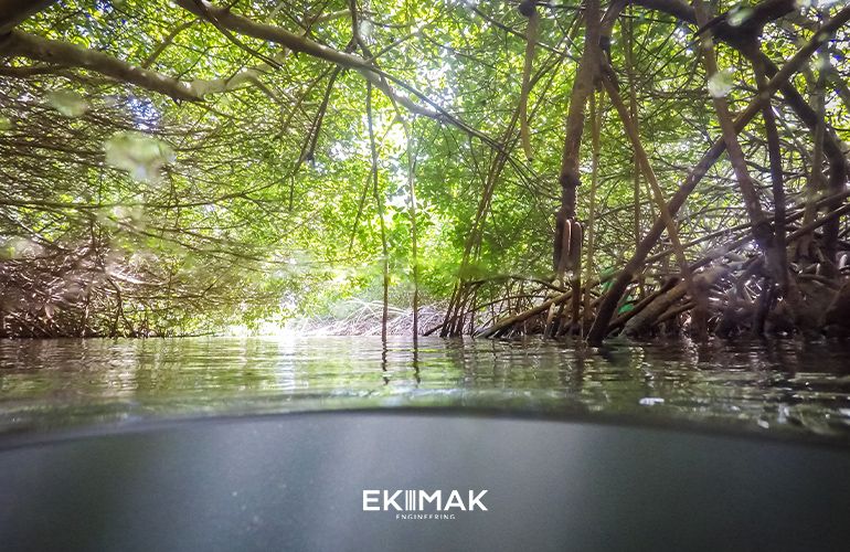 Imagen del manglar Cartagena y planta de agua